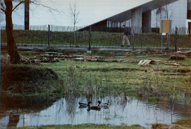 La Mare Champtier en février 2001